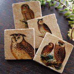 Owl coasters - Keepers of the Forest